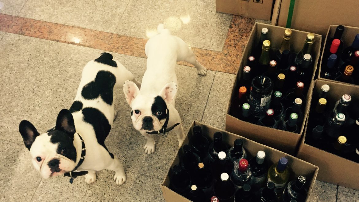 The Weekly Dog’s Wine Review